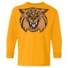 Heavy Cotton Youth Long Sleeve T-Shirt. Thumbnail