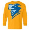Heavy Cotton Youth Long Sleeve T-Shirt. Thumbnail
