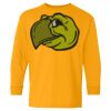 Heavy Cotton Youth Long Sleeve T-Shirt. Thumbnail