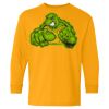 Heavy Cotton Youth Long Sleeve T-Shirt. Thumbnail