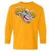 Heavy Cotton Youth Long Sleeve T-Shirt. Thumbnail