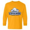 Heavy Cotton Youth Long Sleeve T-Shirt. Thumbnail