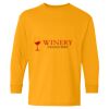 Heavy Cotton Youth Long Sleeve T-Shirt. Thumbnail