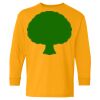 Heavy Cotton Youth Long Sleeve T-Shirt. Thumbnail