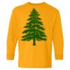 Heavy Cotton Youth Long Sleeve T-Shirt. Thumbnail